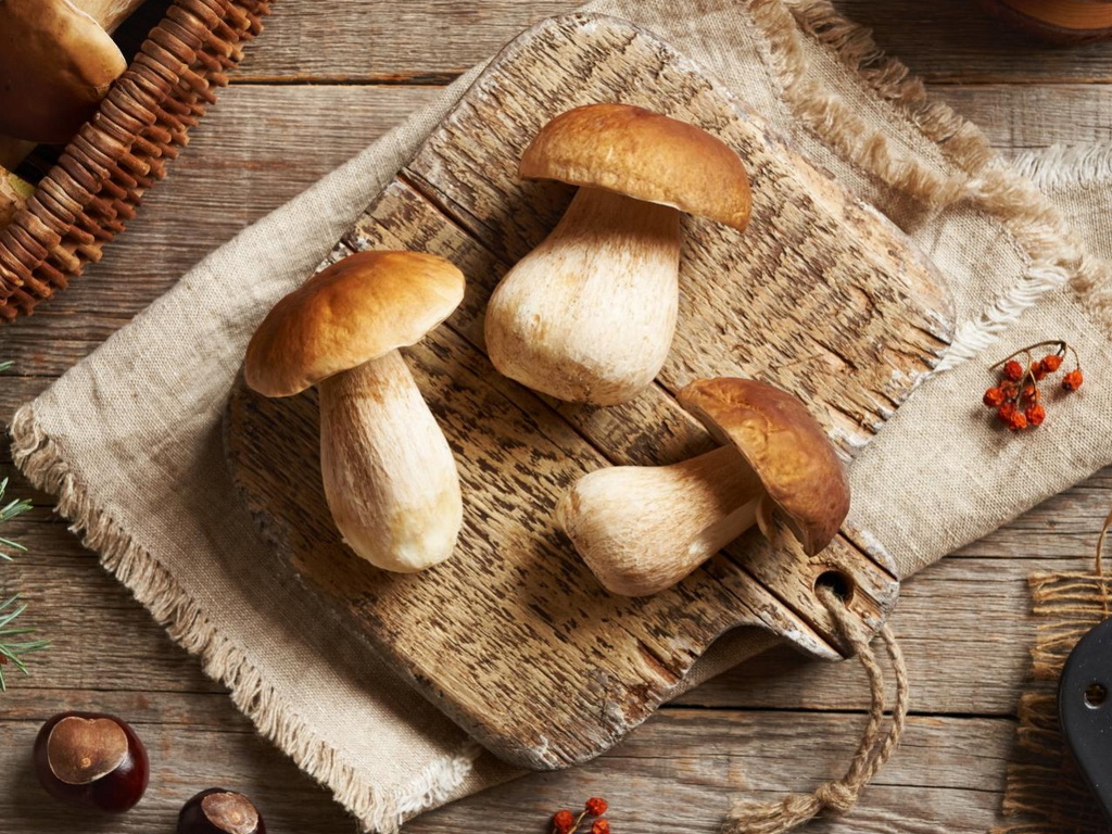 Supernamirnice iz šume snižavaju šećer, pomažu snu, potiču rad crijeva