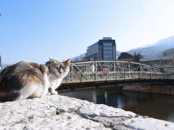 Sutra u BiH pretežno oblačno, tokom dana razvedravanje