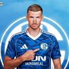 Sve je gotovo: Edin Džeko potpisuje za Schalke!