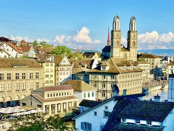 Švicarske vlasti protjerale lopova iz BiH koji je krao po zemlji