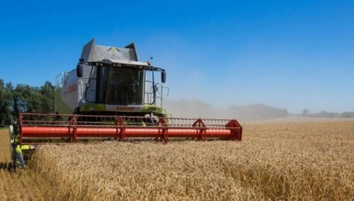Svijet ima zaliha pšenice za još samo 10 sedmica