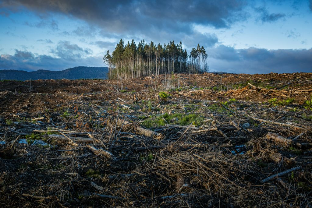 Svijet se mijenja zbog klimatskih promjena: Stiže nešto još gore