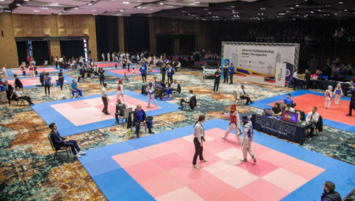 Taekwondo savez BiH: Vize nikome nisu odbijene, već su u proceduri izdavanja