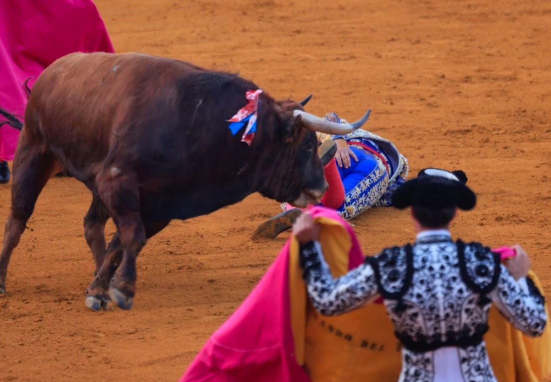 Legendarni matador teško povrijeđen: Borba s bikom nije dobro završila