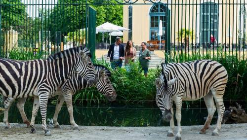 Tiergarten Schönbrunn ponovo proglašen najboljim zoološkim vrtom u Evropi