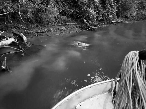 Tijelo 20-godišnjaka pronađeno u Savi kod Bijeljine