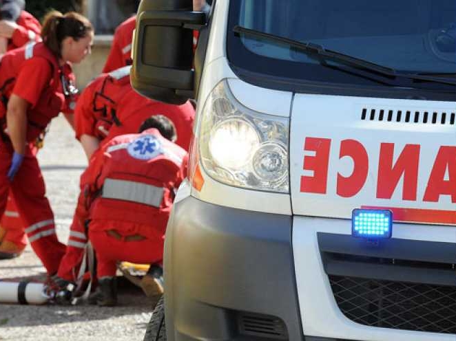 Tragedija u Beogradu: Muškarac preminuo nakon napada roja osa