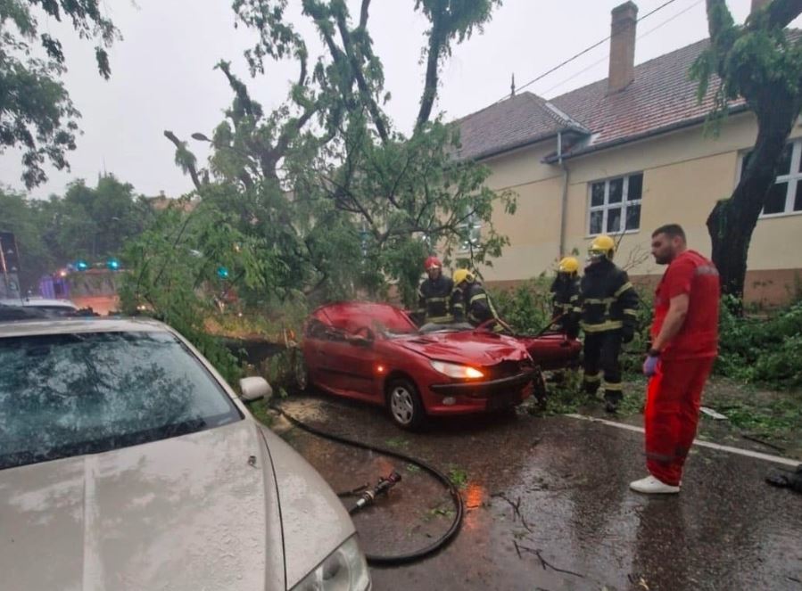 Tragedija u Srbiji: Stablo palo na automobil i ubilo ženu