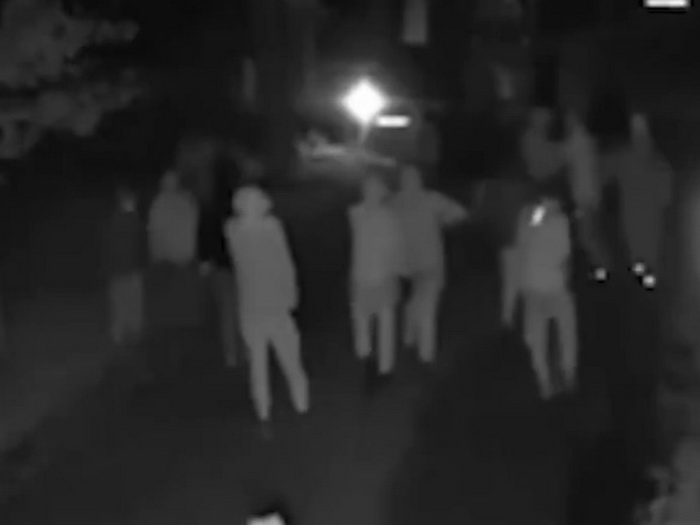 Tridesetak naoružanih ljudi hodalo kroz selo u Holandiji, jedna osoba ubijena