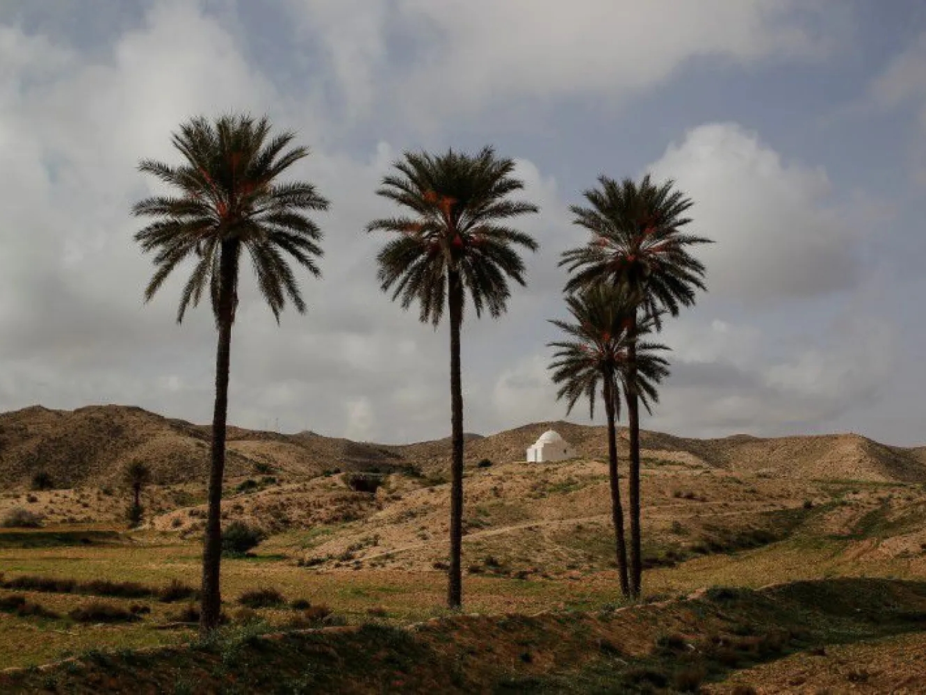 Tunis se suočava s rekordnim vrućinama i krizom snabdijevanja strujom