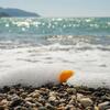 Turistkinja sakupljala kamenje s plaže, pa zaradila kaznu od 3.000 eura