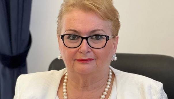 Turković: Vlada RS-a preko Tegeltije blokira prestanak ovisnosti BiH o ruskom plinu