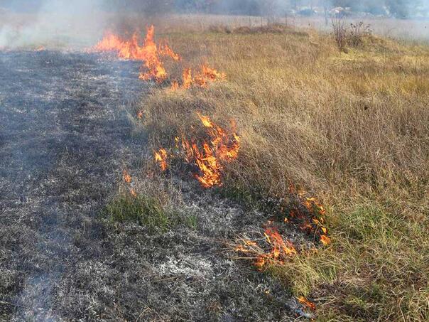 Tuzla na oprezu: Za paljenje vatre kazne do 1.500 KM