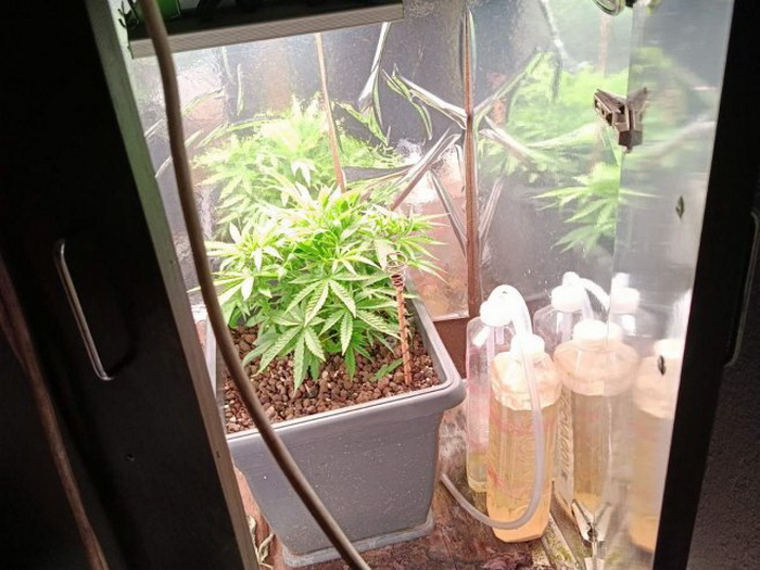 U akciji "Trener" oduzeta četiri kilograma marihuane, hašiš i laboratorija