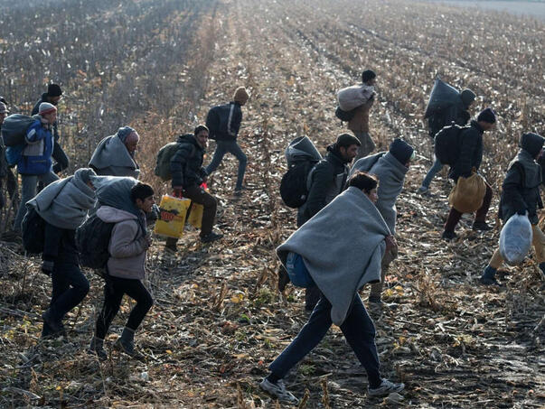 U BiH pronađeno oko 100 migranata, uglavnom iz Sirije