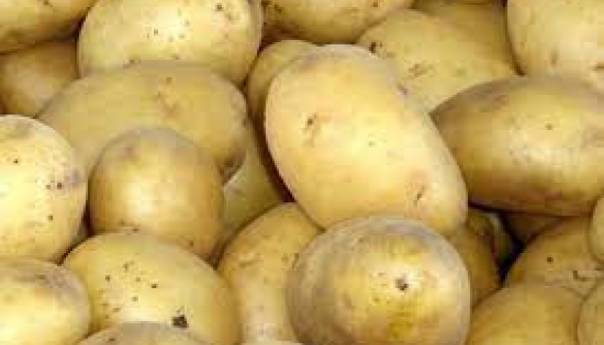 U BiH zabranjen uvoz 22 tone krompira iz Italije