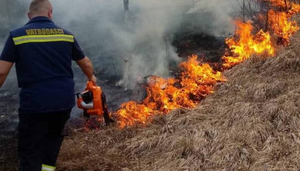U Čapljini izgorjeli plastenik i vinograd, požar zaprijetio i kućama