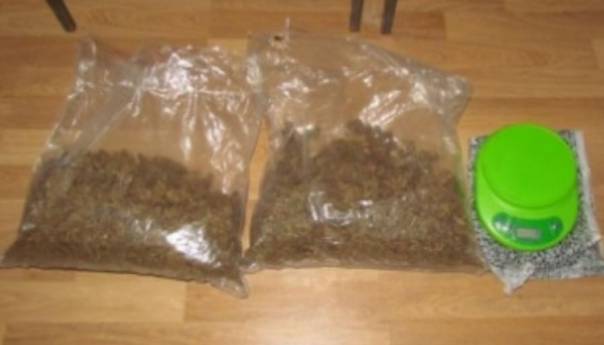 U Čapljini pronađeno i iščupano 37 stabljika marihuane