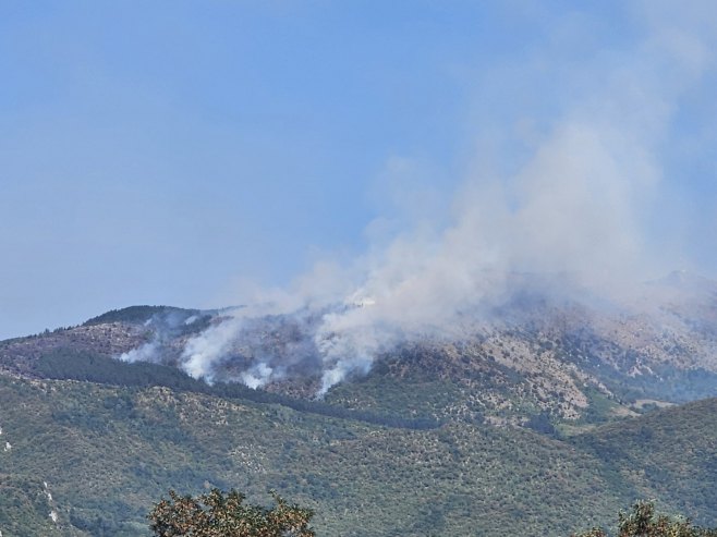 Danas velika akcija gašenja požara na Trebeviću