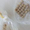 U Gračanici uhapšena jedna osoba, pronađeni droga, oružje...
