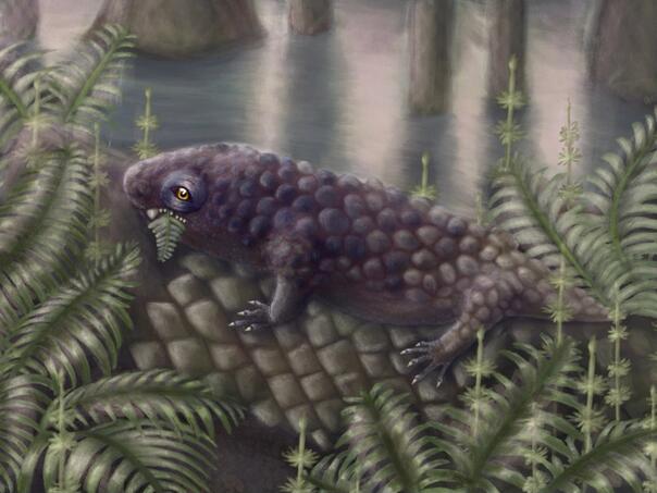 U Kanadi otkriven najstariji kopneni biljojed