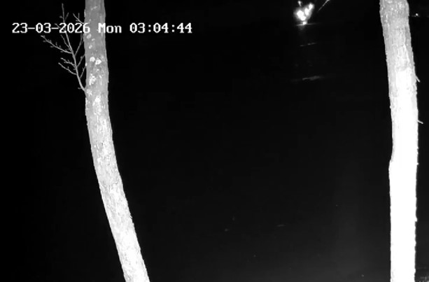 U Litvaniji se srušio dron, premijerka: Došao je iz Ukrajine