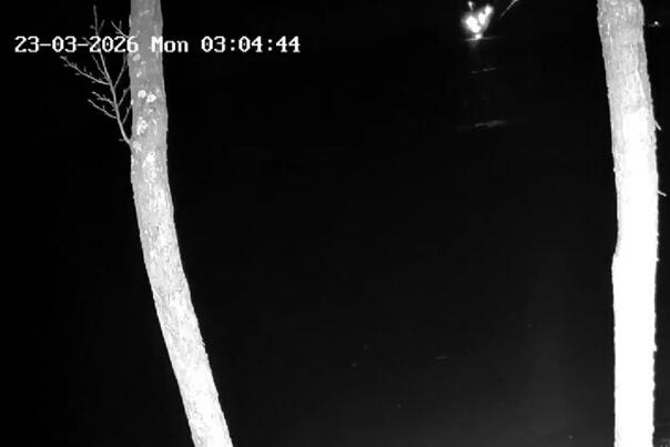 U Litvaniji se srušio dron, premijerka: Došao je iz Ukrajine