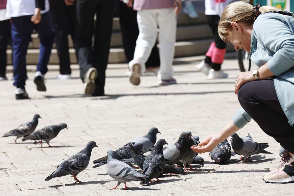 U martu u FBiH 7,2 posto manje turista u odnosu na mart 2024., najviše noćenja turista iz Hrvatske