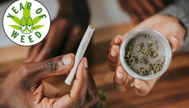 U New Yorku otvoren prvi legalni dućan za rekreacijsku marihuanu