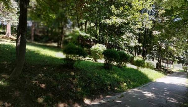 U Pionirskoj dolini iduće sedmice počinje izgradnja adrenalin parka