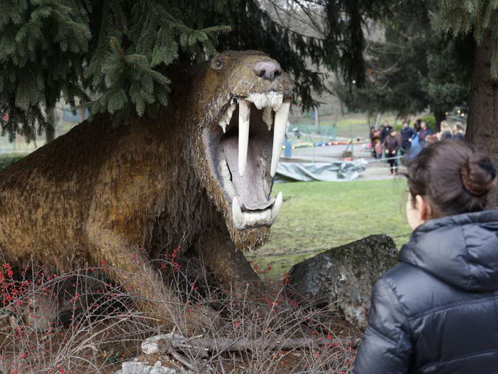 U Pionirsku dolinu stigla grupa prerijskih pasa, ovih dana očekuju i nove životinje