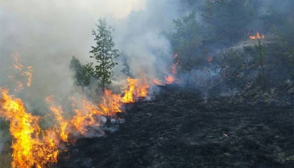 U požaru u Foči izgorila vikendica i pomoćni objekat