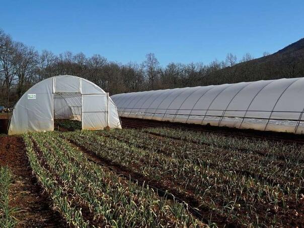 U Sarajevu danas svečana dodjela rješenja za 69 mladih poljoprivrednika iz FBiH