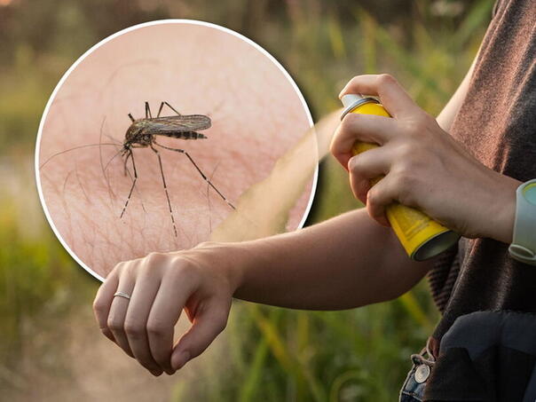 U Srbiji registrovano 28 oboljelih od groznice Zapadnog Nila