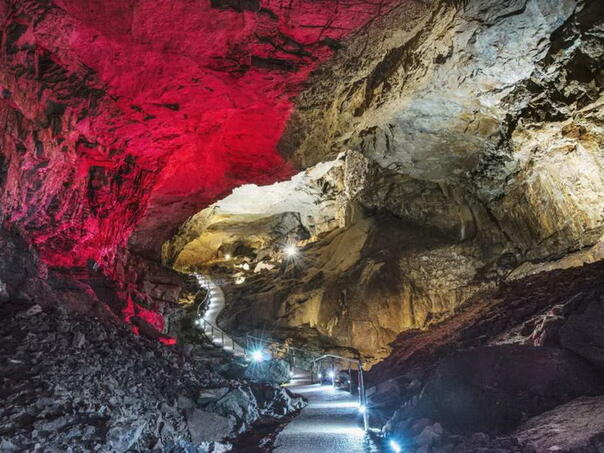 U Vjetrenici divlje vrste žive u savršenoj ravnoteži tame, vlage i tišine