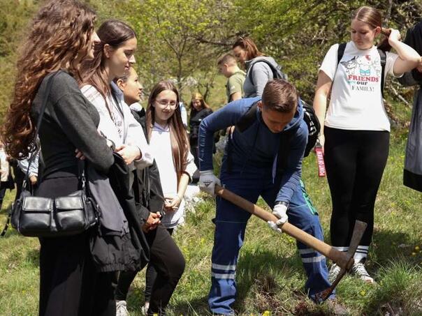 Učenici KS na Igmanu: Umjesto učionice akcije pošumljavanja i učenje o ekologiji