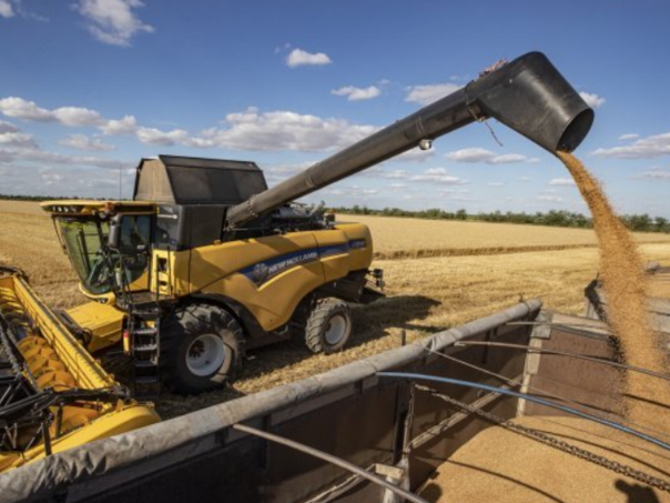 Ukrajina se žalila WTO-u na žitni embargo Poljske, Slovačke i Mađarske