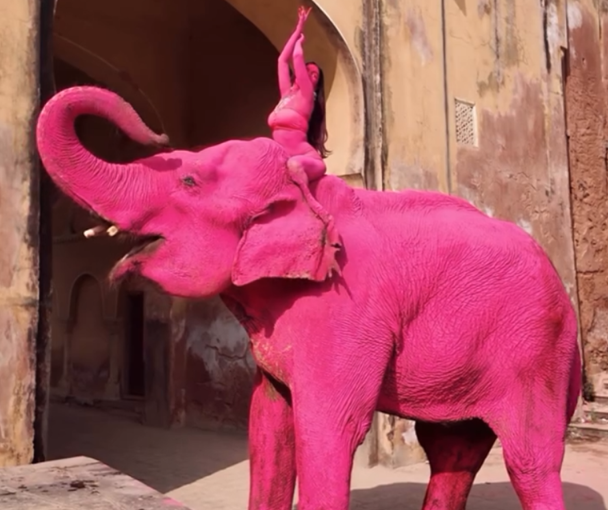 Umjetnica u Indiji obojila slona u rozo, uginuo je