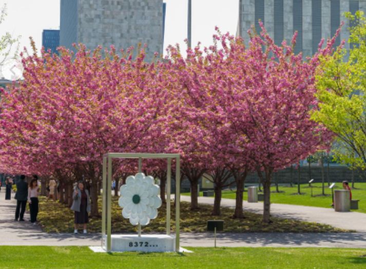 Kad procvatu behari kraj kamenog Cvijeta Srebrenice ispred UN-a...