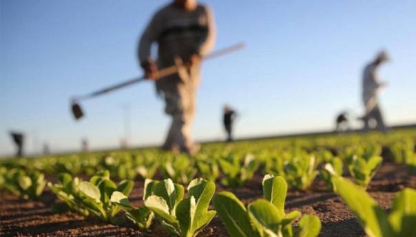 Uprkos pandemiji poljoprivredno-prehrambeni sektor zabilježio rast izvoza