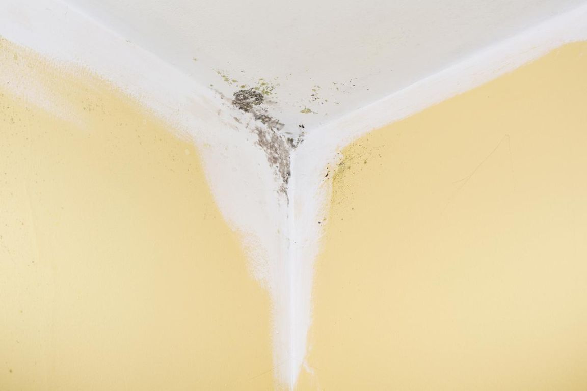 Uz ovaj sastojak mrlje na zidovima nestaju za par minuta