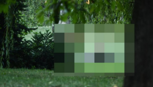 Užas u Zagrebu: U parku silovana 15-godišnja djevojčica, zlostavljači uhapšeni