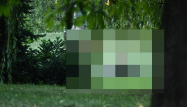 Užas u Zagrebu: U parku silovana 15-godišnja djevojčica, zlostavljači uhapšeni