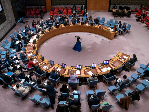 Uživo: Pratite sjednicu Vijeća sigurnosti o stanju u BiH