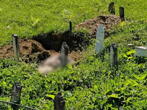 Uznemirujući prizor: Medvjed raskopao mezar, mještani u šoku