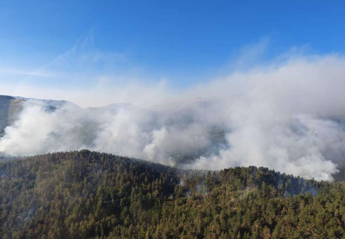Vapaj za spas Dinare: Izgorjelo preko hiljadu hektara šume