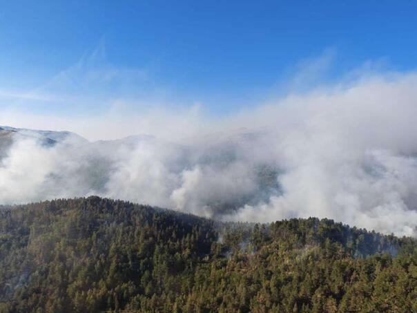 Vapaj za spas Dinare: Izgorjelo preko hiljadu hektara šume