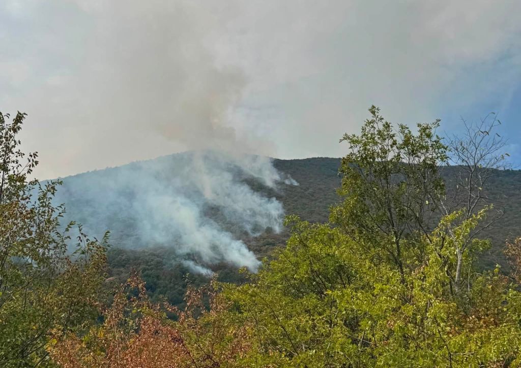 Vatrogasci čekaju pomoć Air Tractora kod Bosanskog Grahova