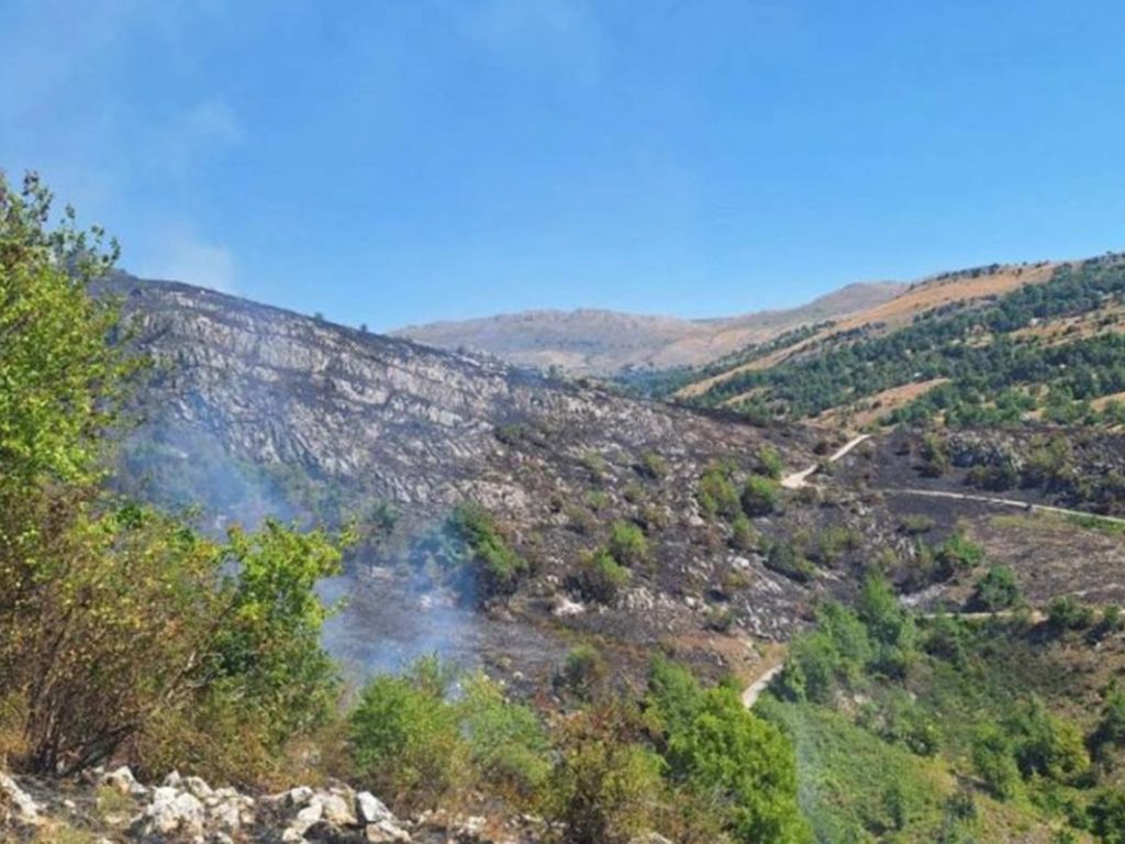 Vatrogasci odbranili kuće od vatre u Nevesinju