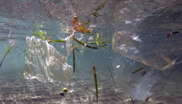 Većina plastike u morima pluta blizu obale